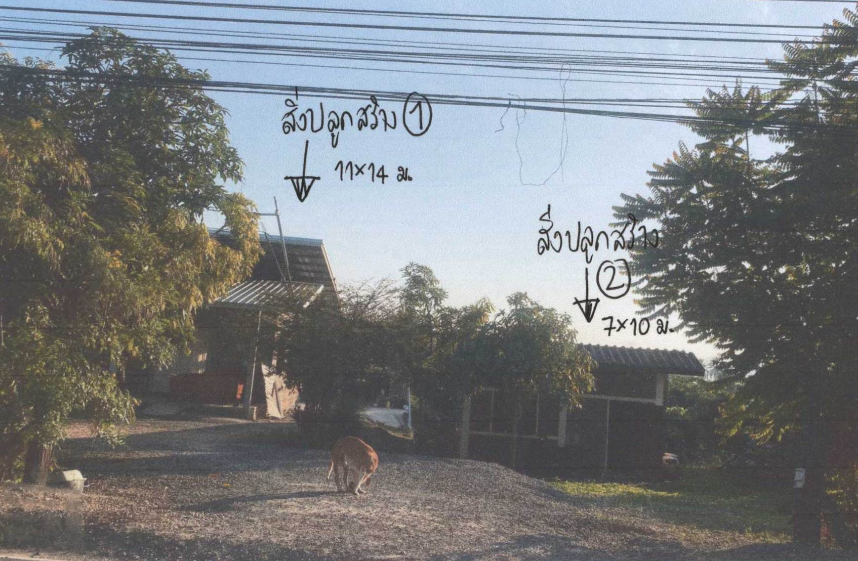 รูปที่ดินพร้อมสิ่งปลูกสร้าง บ้านแปะ จอมทอง เชียงใหม่