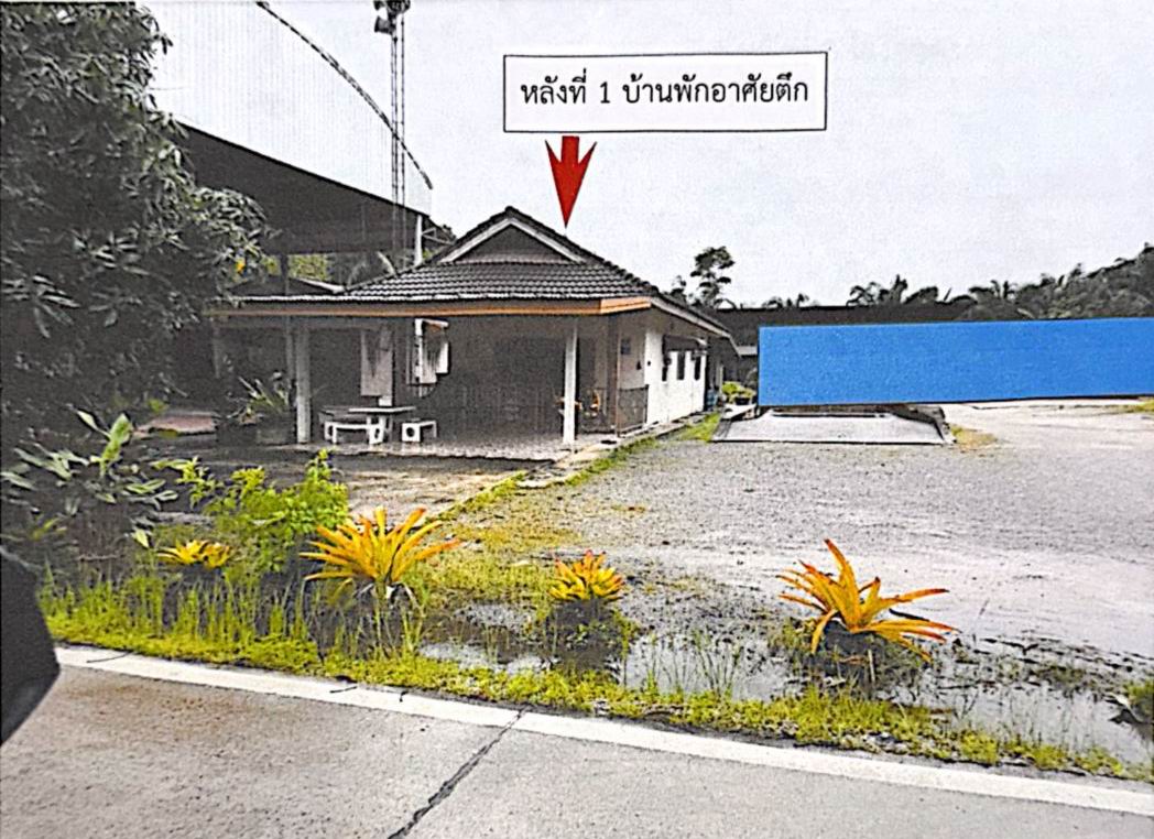 รูปที่ดินพร้อมสิ่งปลูกสร้าง เวียงสระ เวียงสระ สุราษฎร์ธานี