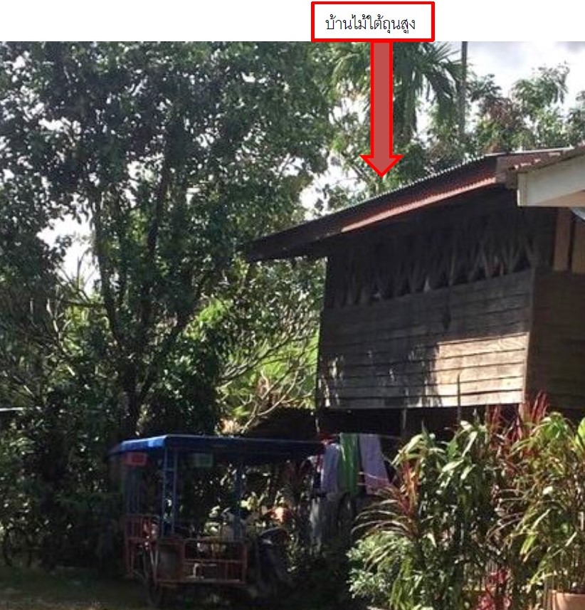 รูปที่ดินพร้อมสิ่งปลูกสร้าง เมืองแฝก ลำปลายมาศ บุรีรัมย์
