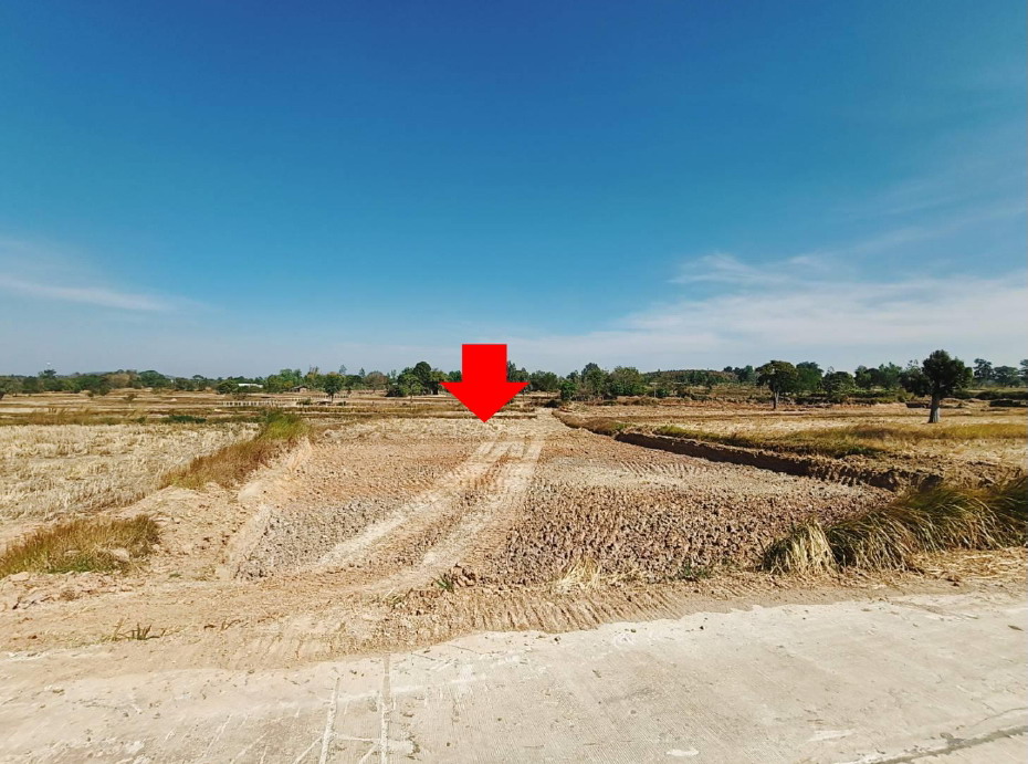 รูปที่ดินว่างเปล่า หนองไฮ เสนางคนิคม อำนาจเจริญ