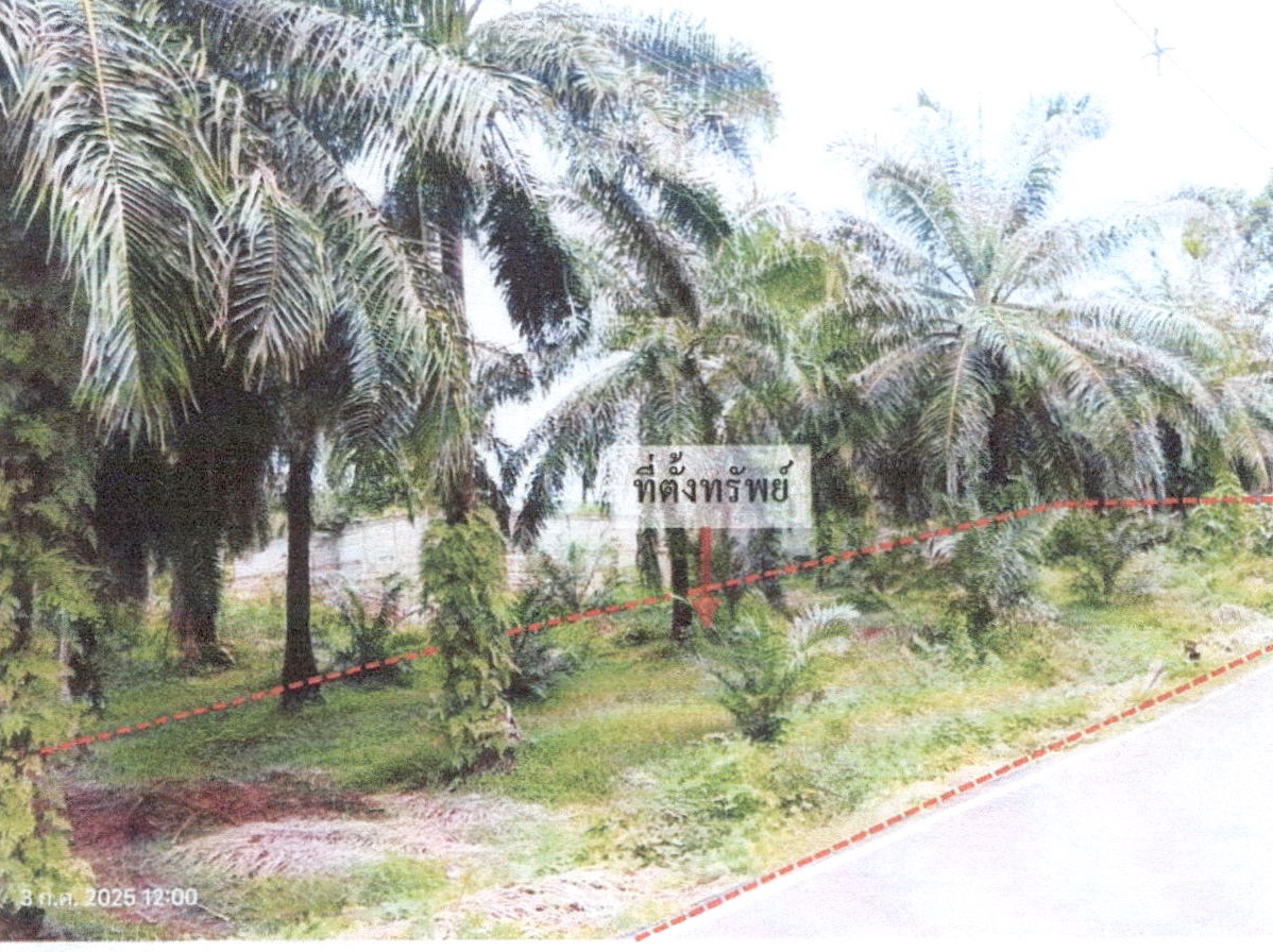 รูปที่ดินว่างเปล่า อ่าวนาง เมืองกระบี่ กระบี่