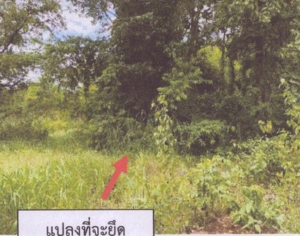 รูปที่ดินว่างเปล่า โพธิ์ชัย เมืองหนองบัวลำภู หนองบัวลำภู