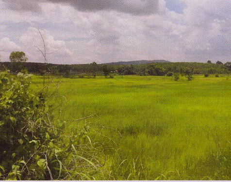 รูปที่ดินว่างเปล่า คำอาฮวน เมืองมุกดาหาร มุกดาหาร