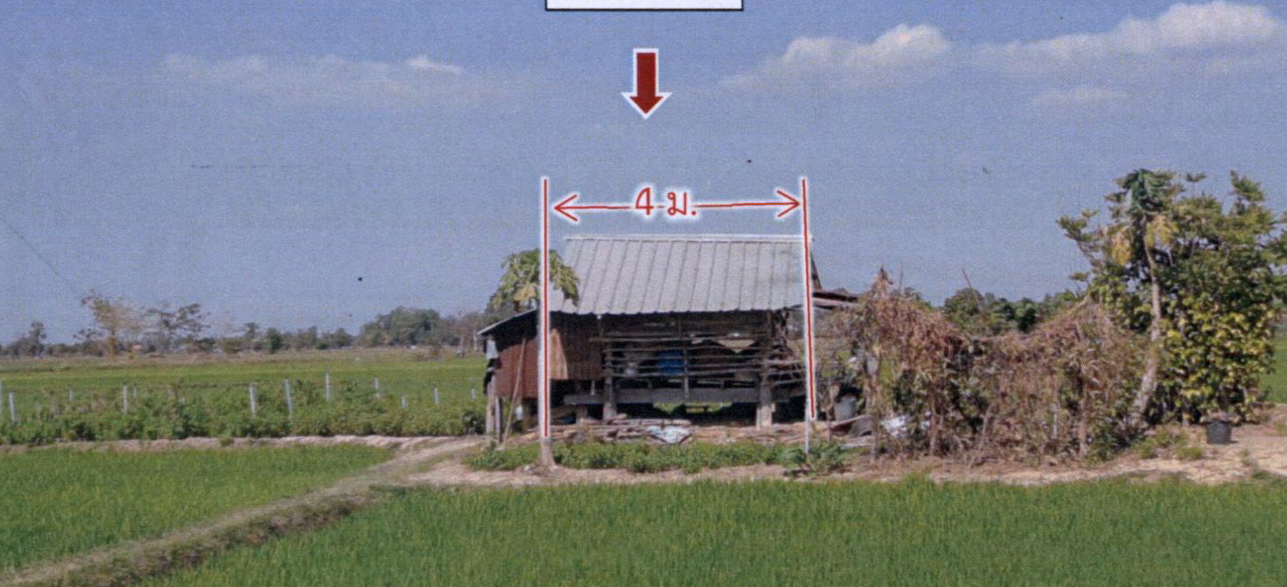 รูปที่ดินพร้อมสิ่งปลูกสร้าง ไผ่ รัตนบุรี สุรินทร์