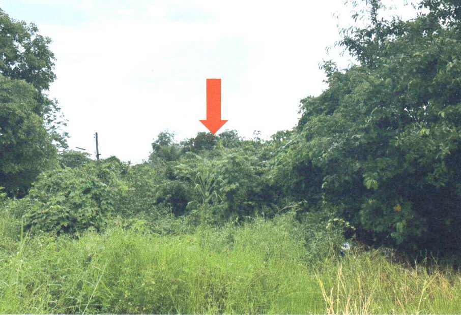 รูปที่ดินว่างเปล่า นาจักร เมืองแพร่ แพร่