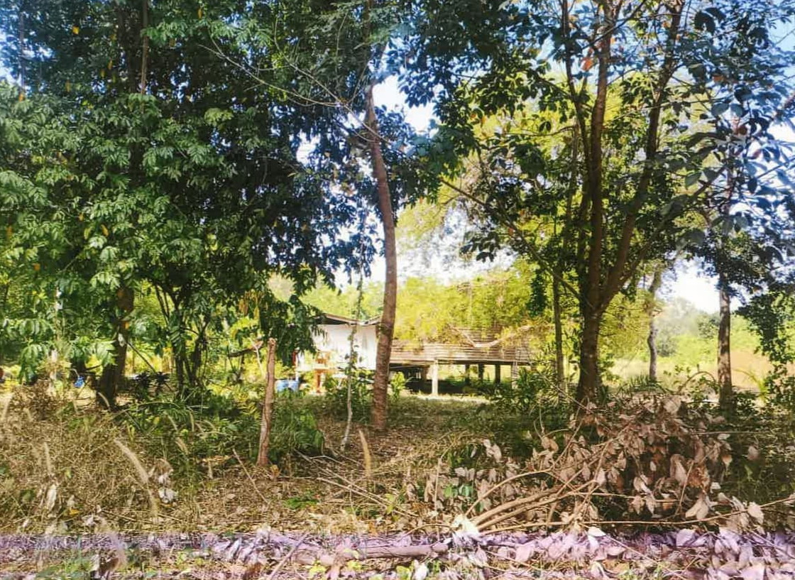 รูปที่ดินพร้อมสิ่งปลูกสร้าง คลองขุด ท่าใหม่ จันทบุรี
