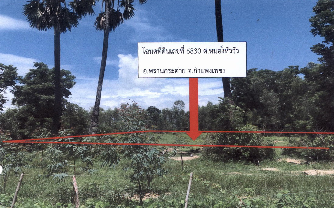 รูปที่ดินว่างเปล่า หนองหัววัว พรานกระต่าย กำแพงเพชร
