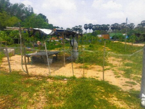 รูปที่ดินว่างเปล่า หมูม่น สมเด็จ กาฬสินธุ์