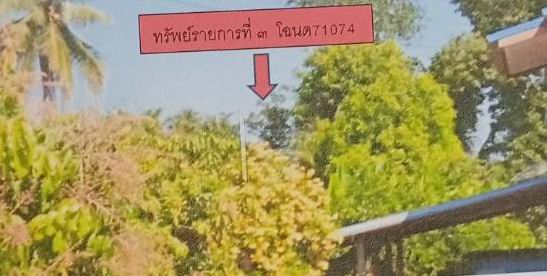 รูปที่ดินว่างเปล่า บ้านโคก เมืองเพชรบูรณ์ เพชรบูรณ์