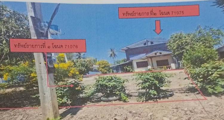 รูปที่ดินพร้อมสิ่งปลูกสร้าง บ้านโคก เมืองเพชรบูรณ์ เพชรบูรณ์