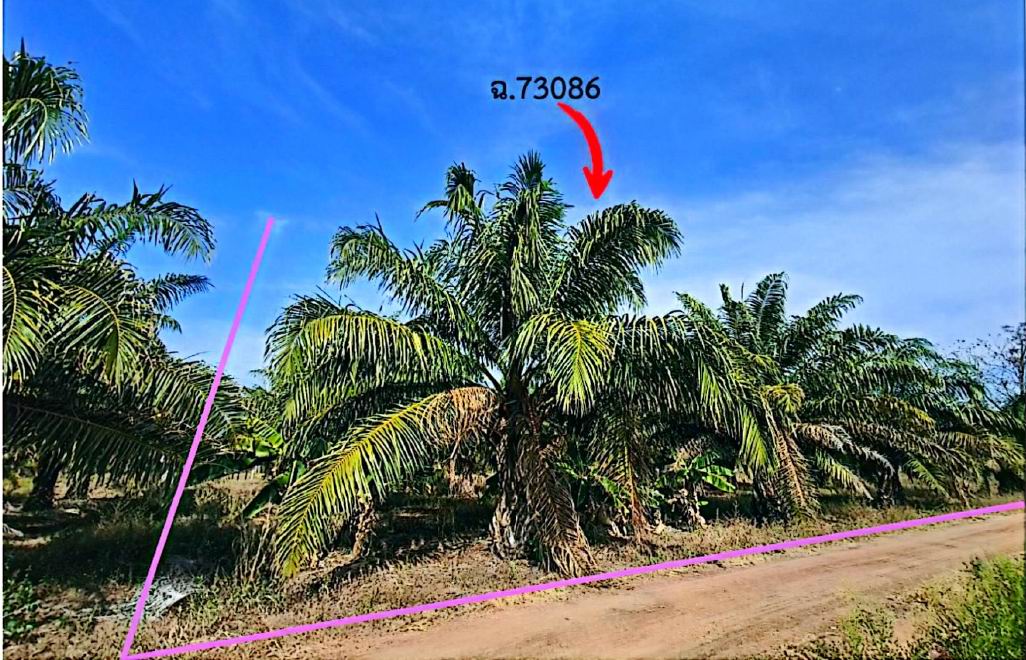 รูปที่ดินว่างเปล่า นาแขม กบินทร์บุรี ปราจีนบุรี