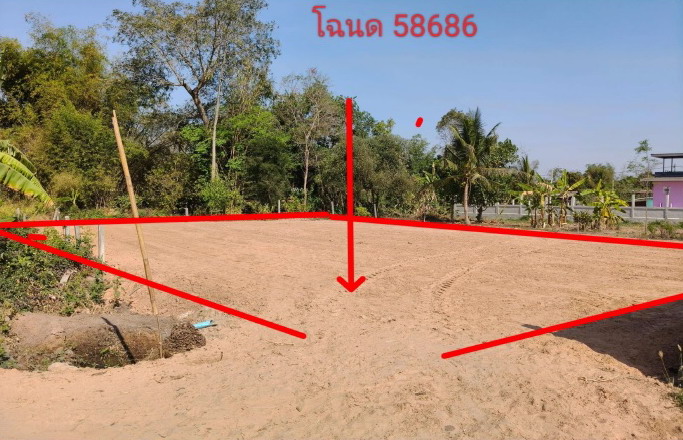 รูปที่ดินว่างเปล่า บ้านแวง พุทไธสง บุรีรัมย์