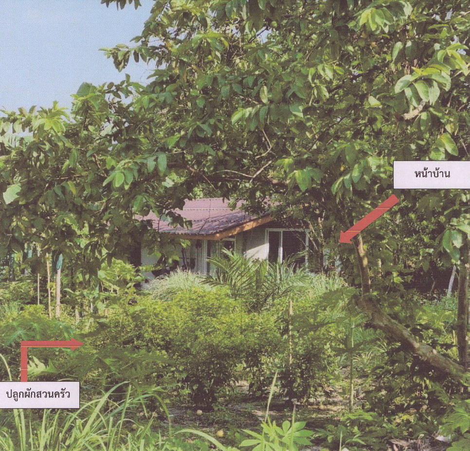 รูปที่ดินพร้อมสิ่งปลูกสร้าง กระโสม ตะกั่วทุ่ง พังงา