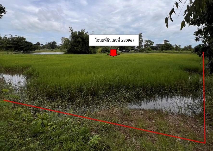 รูปที่ดินว่างเปล่า สำราญ เมืองขอนแก่น ขอนแก่น