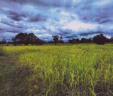 รูปที่ดินว่างเปล่า ผึ่งแดด เมืองมุกดาหาร มุกดาหาร