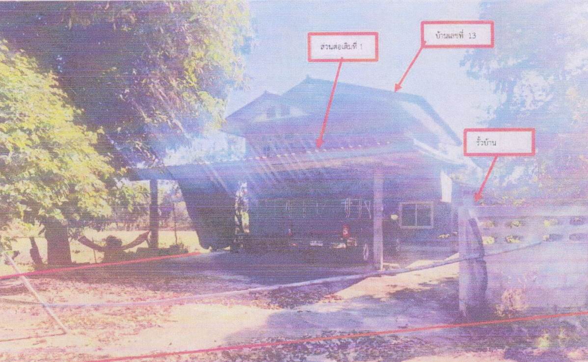 รูปที่ดินพร้อมสิ่งปลูกสร้าง ช่องสามหมอ คอนสวรรค์ ชัยภูมิ