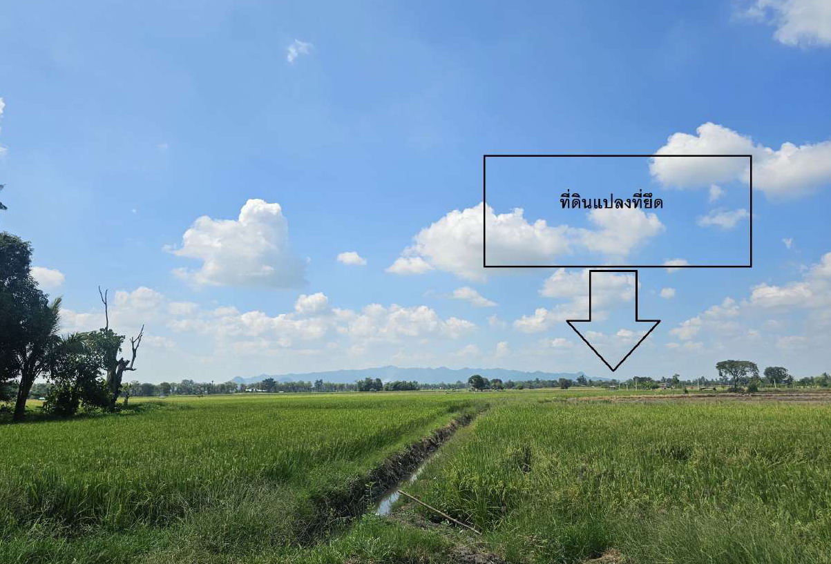รูปที่ดินว่างเปล่า ทุ่งโพ หนองฉาง อุทัยธานี