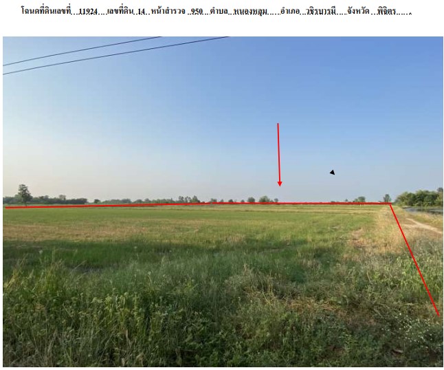 รูปที่ดินว่างเปล่า หนองหลุม วชิรบารมี พิจิตร