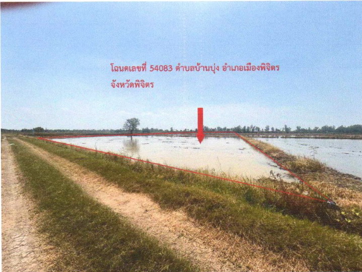 รูปที่ดินว่างเปล่า บ้านบุ่ง เมืองพิจิตร พิจิตร