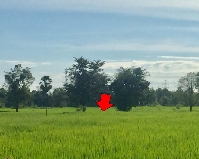 รูปที่ดินว่างเปล่า บ้านเม็ง หนองเรือ ขอนแก่น