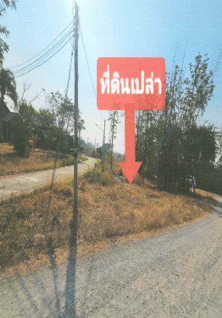 รูปที่ดินว่างเปล่า พังตรุ ท่าม่วง กาญจนบุรี