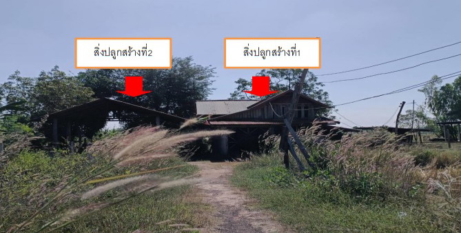 รูปที่ดินพร้อมสิ่งปลูกสร้าง บงใต้ สว่างแดนดิน สกลนคร