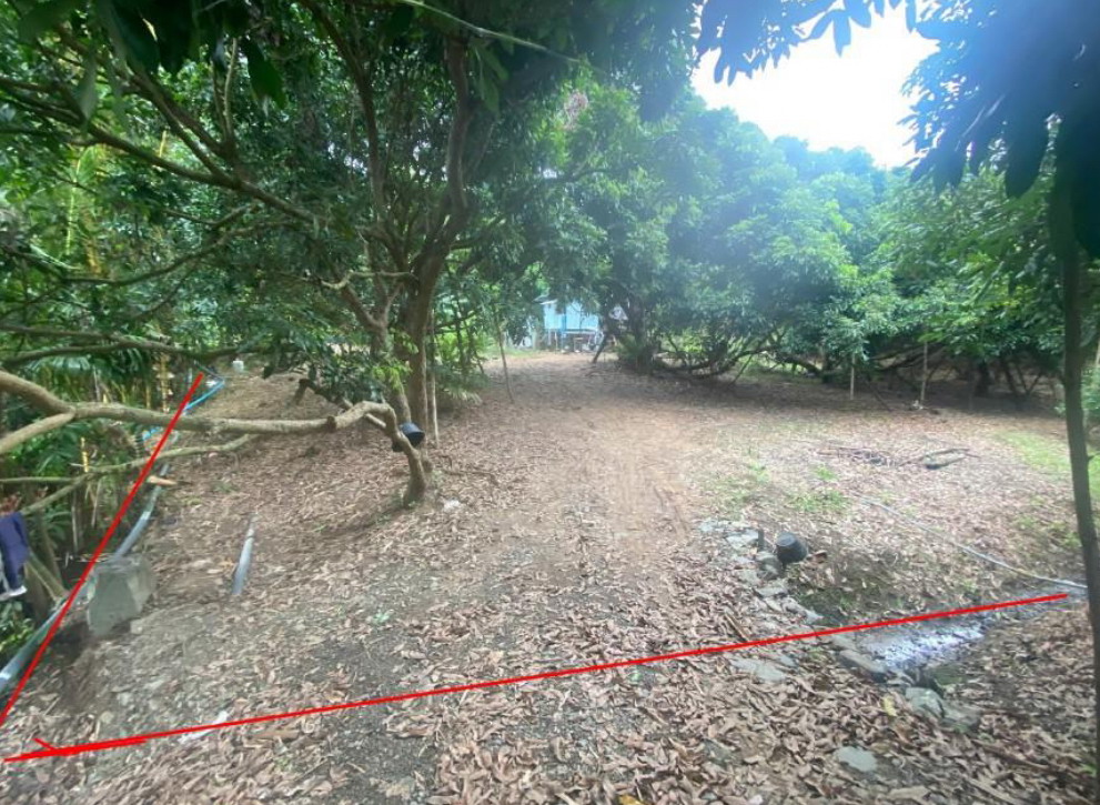 รูปที่ดินว่างเปล่า ทรายขาว สอยดาว จันทบุรี