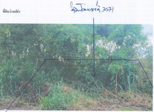 รูปที่ดินว่างเปล่า สากเหล็ก สากเหล็ก พิจิตร