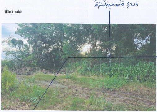 รูปที่ดินว่างเปล่า สากเหล็ก สากเหล็ก พิจิตร
