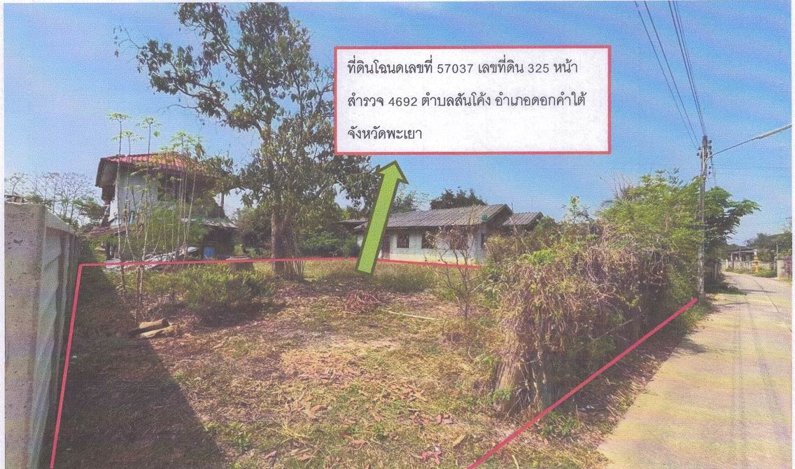 รูปที่ดินว่างเปล่า สันโค้ง ดอกคำใต้ พะเยา