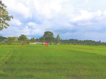 รูปที่ดินว่างเปล่า พิมาน นาแก นครพนม