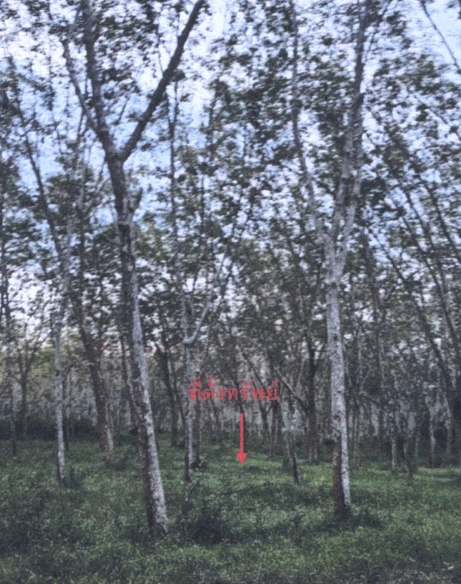 รูปที่ดินว่างเปล่า นาหว้า จะนะ สงขลา