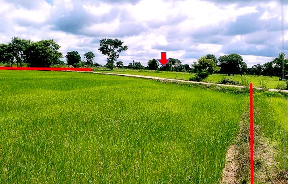 รูปที่ดินว่างเปล่า ละทาย กันทรารมย์ ศรีสะเกษ