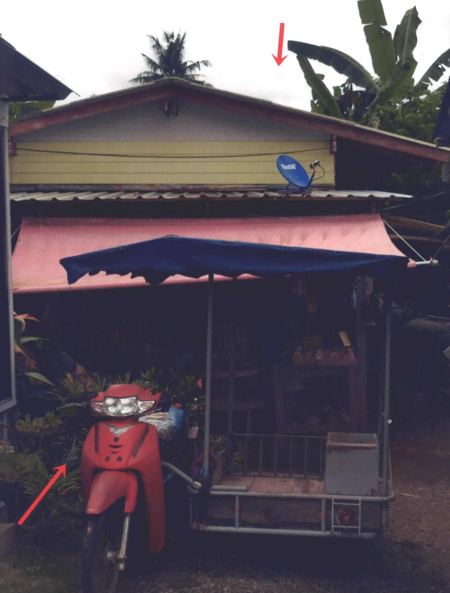 รูปที่ดินพร้อมสิ่งปลูกสร้าง สามเรือน เมืองราชบุรี ราชบุรี