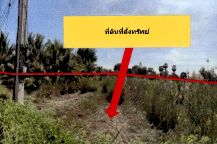รูปที่ดินว่างเปล่า ปึกเตียน ท่ายาง เพชรบุรี