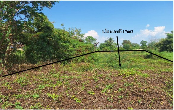 รูปที่ดินว่างเปล่า หอไกร บางมูลนาก พิจิตร