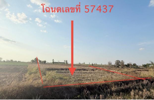 รูปที่ดินว่างเปล่า ท่าลี่ กุมภวาปี อุดรธานี