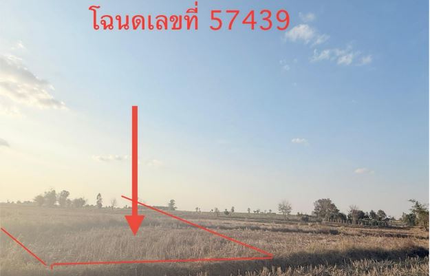 รูปที่ดินว่างเปล่า ท่าลี่ กุมภวาปี อุดรธานี