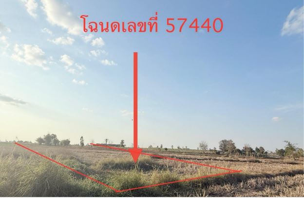 รูปที่ดินว่างเปล่า ท่าลี่ กุมภวาปี อุดรธานี
