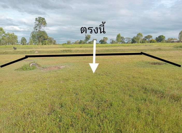 รูปที่ดินว่างเปล่า ท่าลาด วารินชำราบ อุบลราชธานี