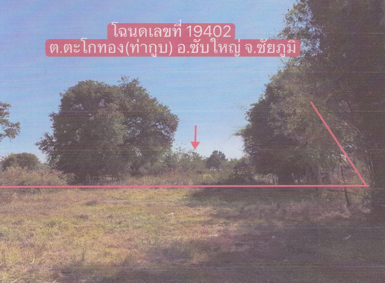 รูปที่ดินว่างเปล่า ท่ากูบ ซับใหญ่ ชัยภูมิ