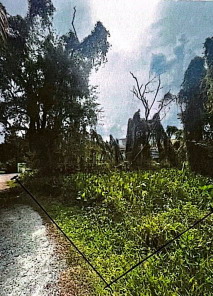 รูปที่ดินว่างเปล่า โพธิ์เสด็จ เมืองนครศรีธรรมราช นครศรีธรรมราช