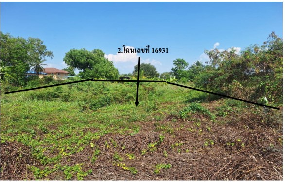 รูปที่ดินว่างเปล่า หอไกร บางมูลนาก พิจิตร