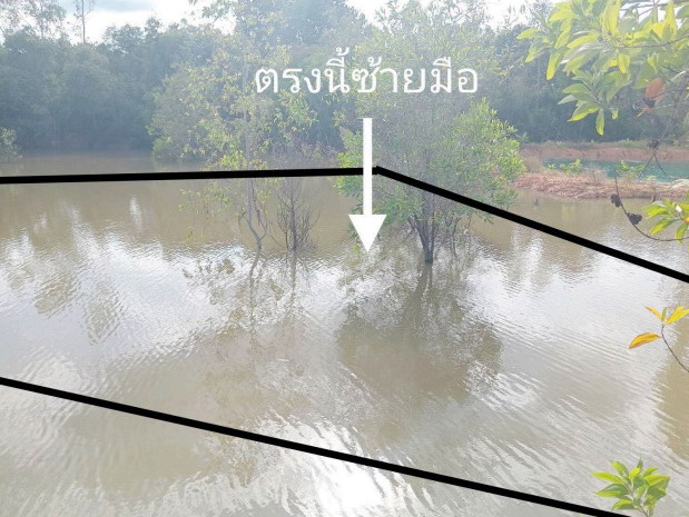 รูปที่ดินว่างเปล่า บุ่งหวาย วารินชำราบ อุบลราชธานี