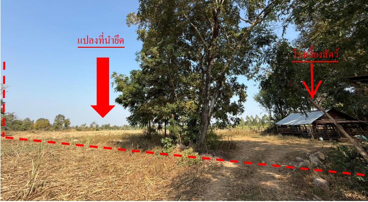 รูปที่ดินพร้อมสิ่งปลูกสร้าง บ้านผือ บ้านผือ อุดรธานี