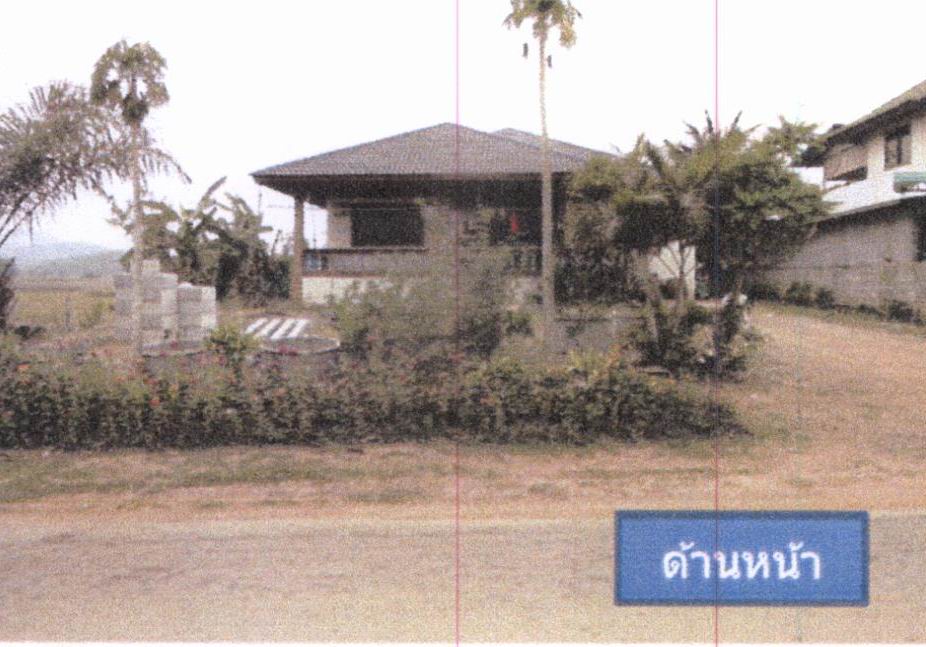 รูปที่ดินพร้อมสิ่งปลูกสร้าง นาโป่ง เมืองเลย เลย
