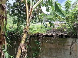 รูปที่ดินพร้อมสิ่งปลูกสร้าง บ้านโหนด สะบ้าย้อย สงขลา