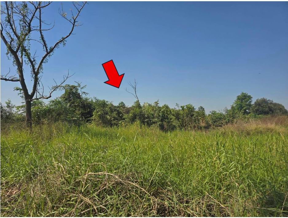 รูปที่ดินว่างเปล่า หนองกระโดน เมืองนครสวรรค์ นครสวรรค์