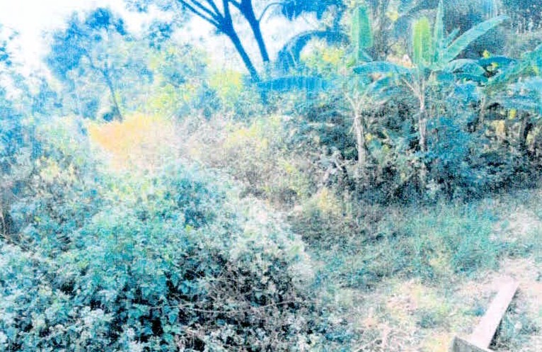 รูปที่ดินว่างเปล่า หนองแก้ว เมืองศรีสะเกษ ศรีสะเกษ