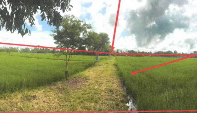 รูปที่ดินว่างเปล่า หนองสะเดา สามชุก สุพรรณบุรี
